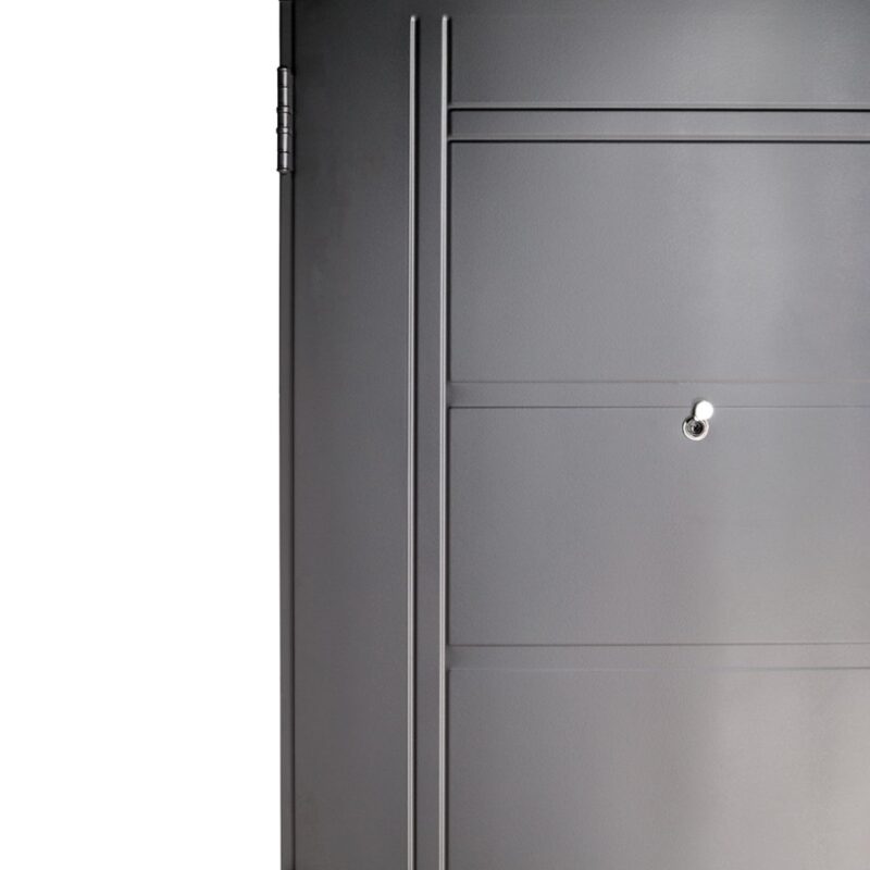 Puerta Inyectada Negra Insertos de ACERO barral CURVO Ciega - Imagen 2